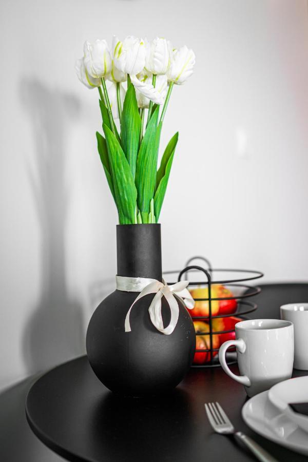 CzeladźTurkusowe Tarasy Apartament公寓 外观 照片